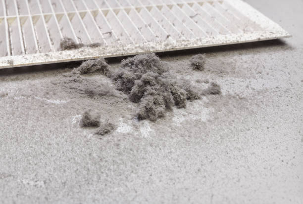 Best Local Air Duct Cleaning Services  in Upper Exeter, PA